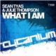 Sean Tyas & Julie Thompson - What I Am